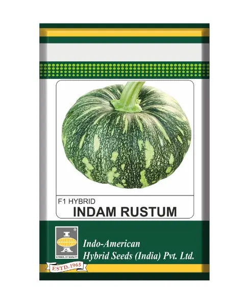 Indam Rustum Pumpkin Seeds 1