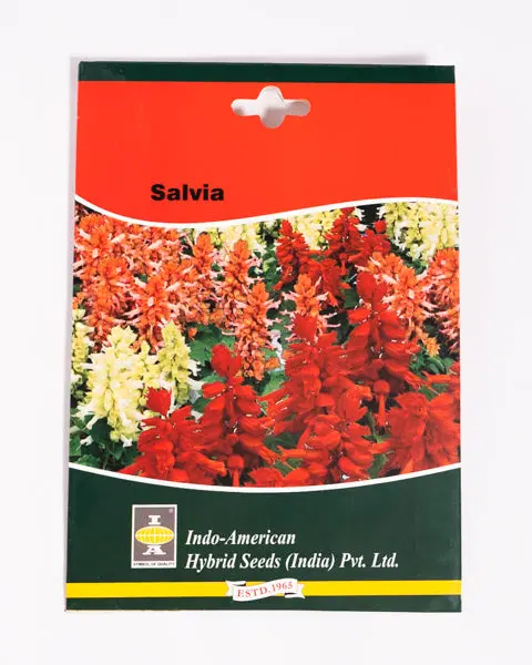 Iahs Salvia Vista Mix 1