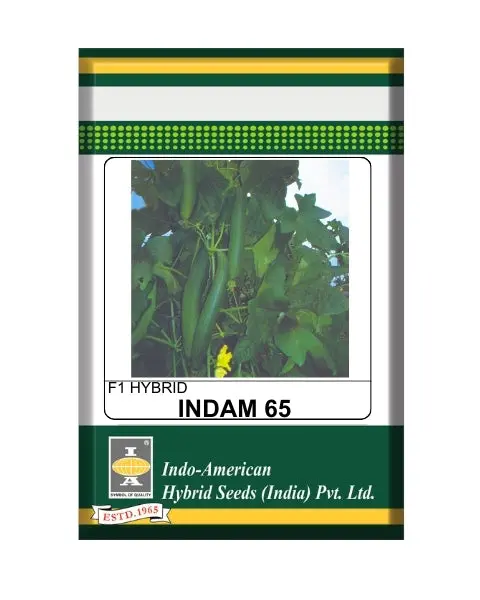 Indam 65 Spongegourd Seeds 1