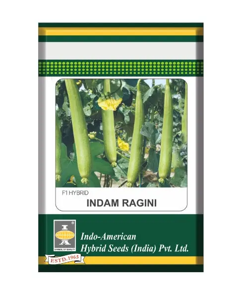 Indam Ragini Spongegourd Seeds 1