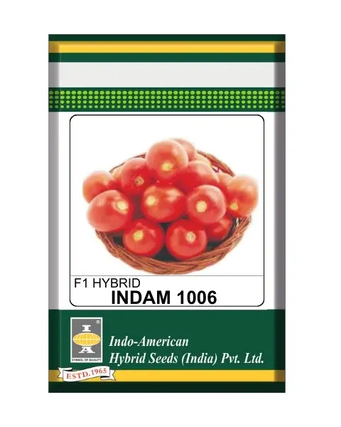 Indam 1006 Tomato Seeds 1