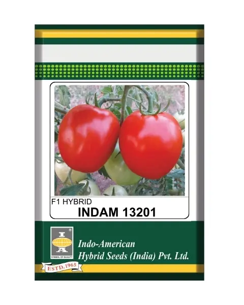 Indam 13201 Tomato Seeds 1