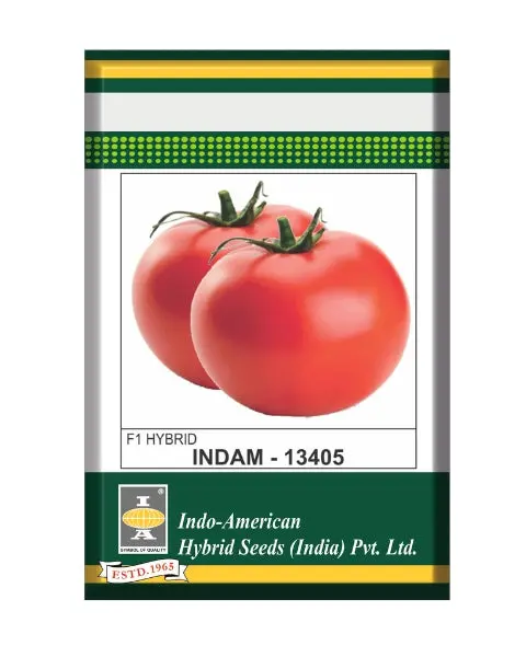 Indam 13405 Tomato Seeds 1