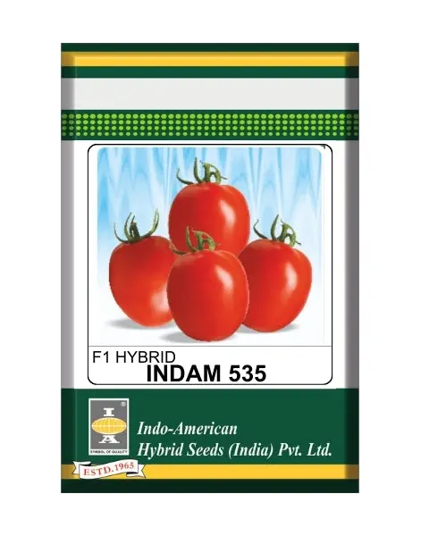 Indam 535 Tomato Seeds 1