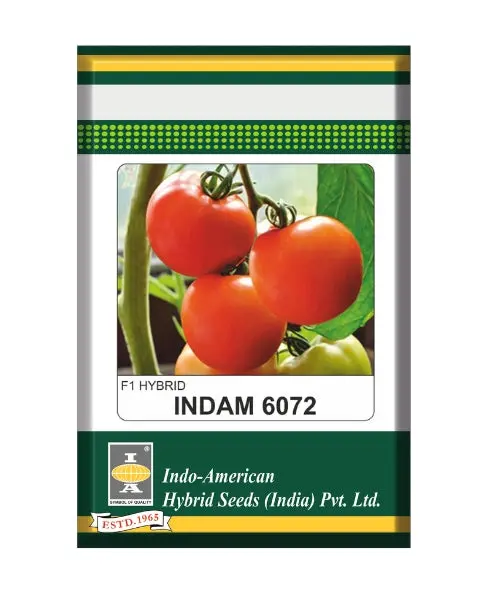 Indam 6072 Tomato Seeds – High-Yield, Firm & Attractive Red Fruits 1