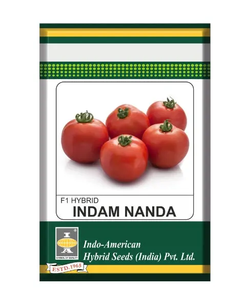 Indam Nanda Tomato Seeds 1