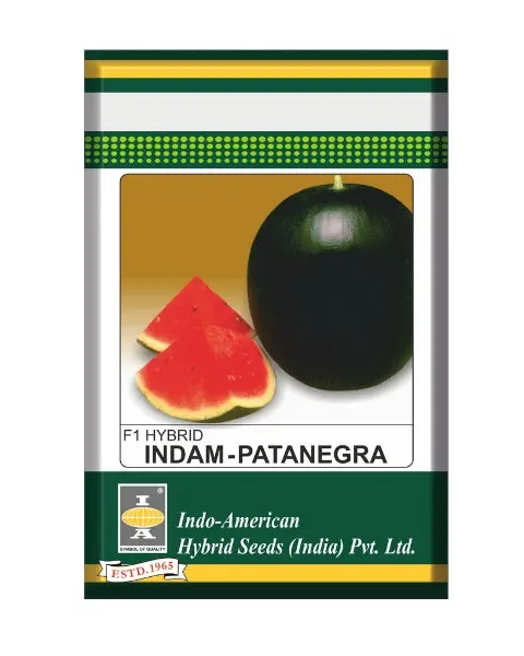 Indam Patanegra Watermelon Seeds – High-Yield, Round Fruits With Red-Flesh 1