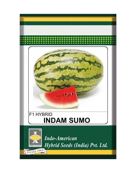Indam Sumo Watermelon Seeds 1