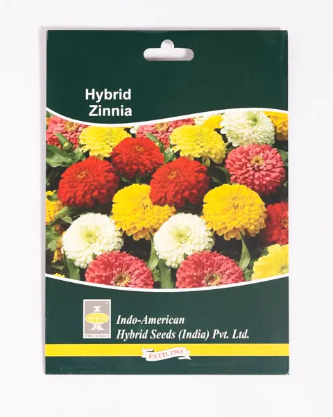 Iahs Zinnia Zahara Mix 1