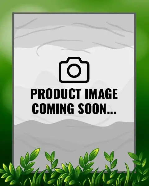 Light Red Onion Seeds 1