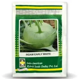 Indam Early White Knol Khol Seeds 1