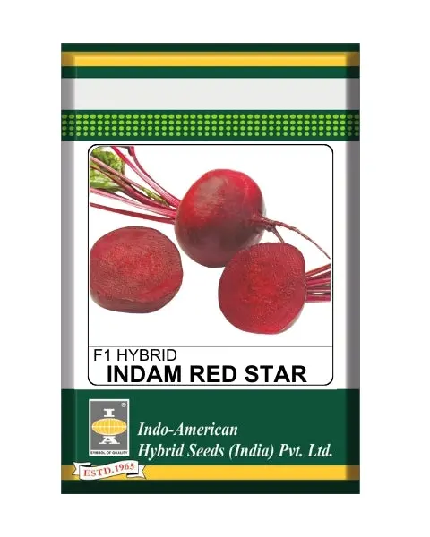 Indam Red Star Beetroot Seeds 1