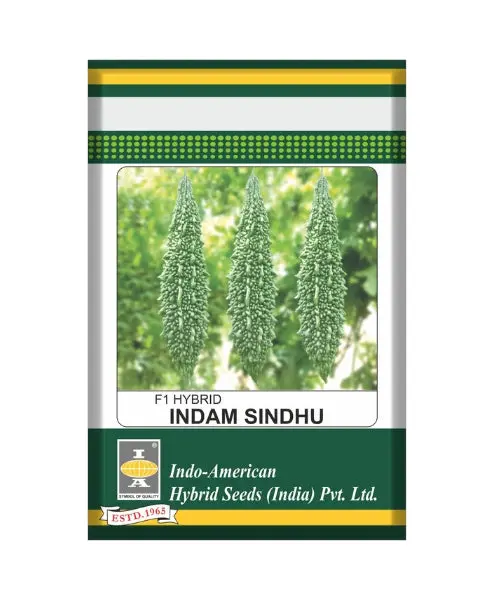 Indam Sindhu Bittergourd Seeds 1