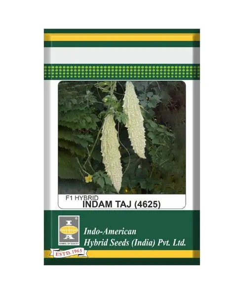 Indam Taj Bittergourd Seeds 1