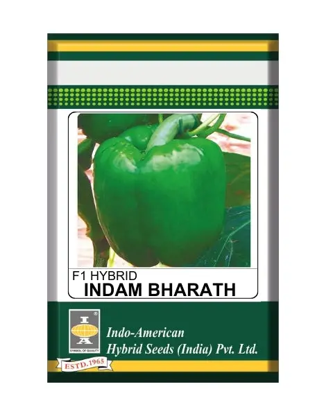 Indam Bharath Capsicum Seeds 1