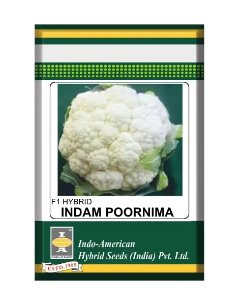 Indam Poornima Cauliflower Seeds 1