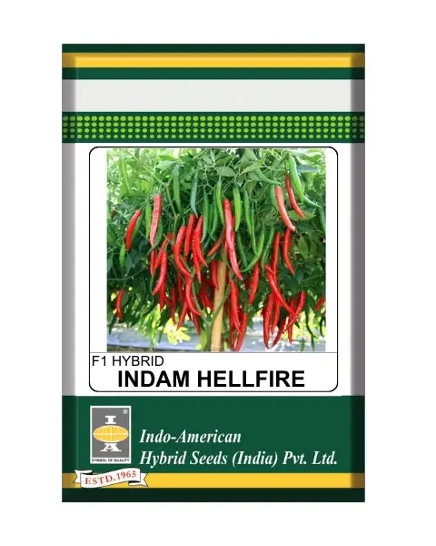 Indam Hellfire Chilli Seeds 1
