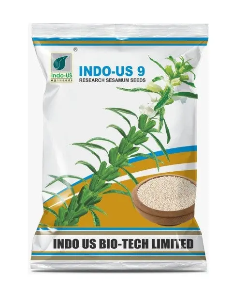 Indo-Us 9 Sesamum Seeds – Premium White Sesame With 49% Oil 1