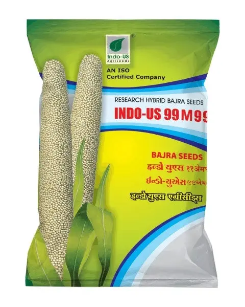 Indo Us 99 M 99 Bajra Seed 1