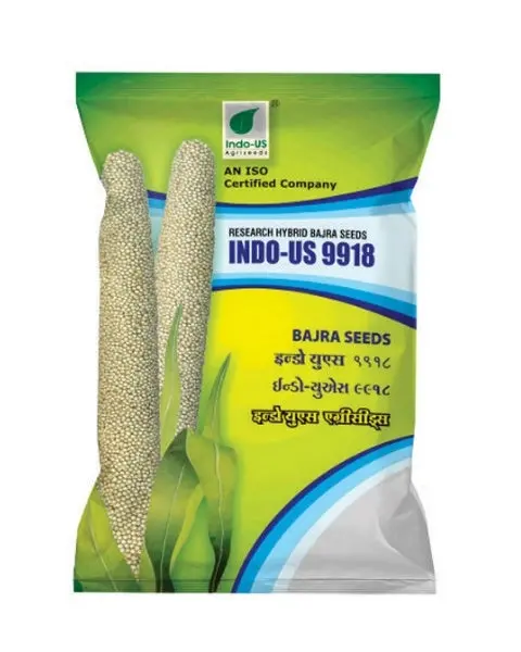 Indo Us Bajara 9918 1