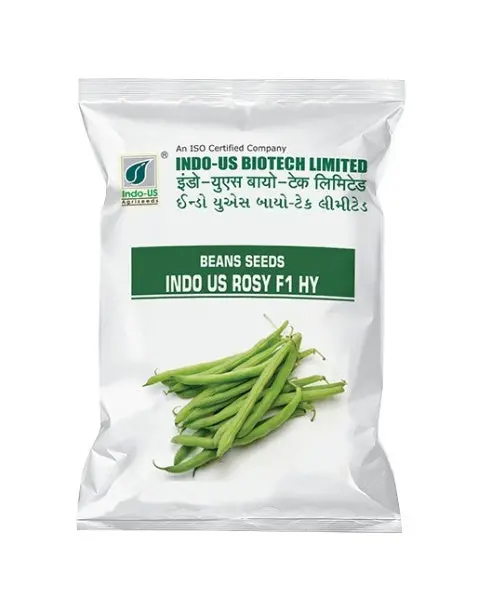 Indo Us Beans Rosy F1 Hy 1