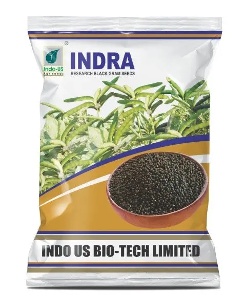 Indo Us Black Gram Indra 1