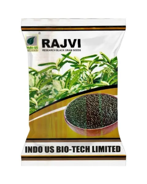 Indo Us Black Gram Rajvi 1