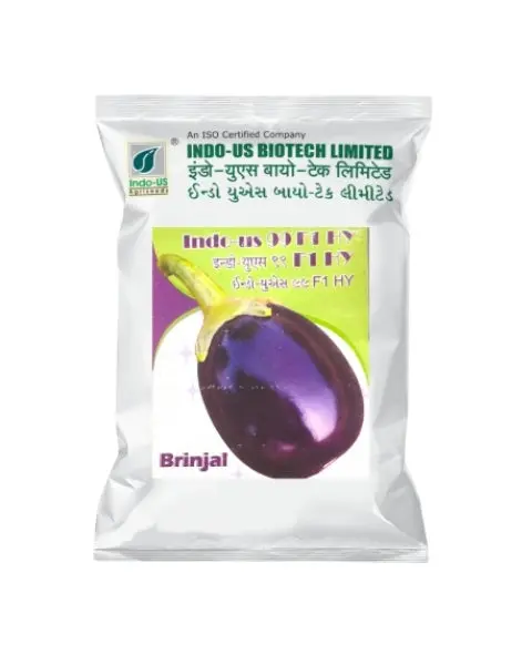 Indo Us Brinjal 99 F1 Hy 1