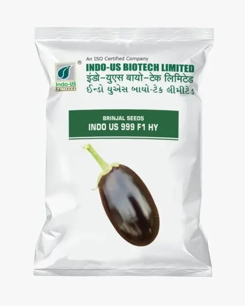 Indo Us Brinjal 999 F1 Hy 1