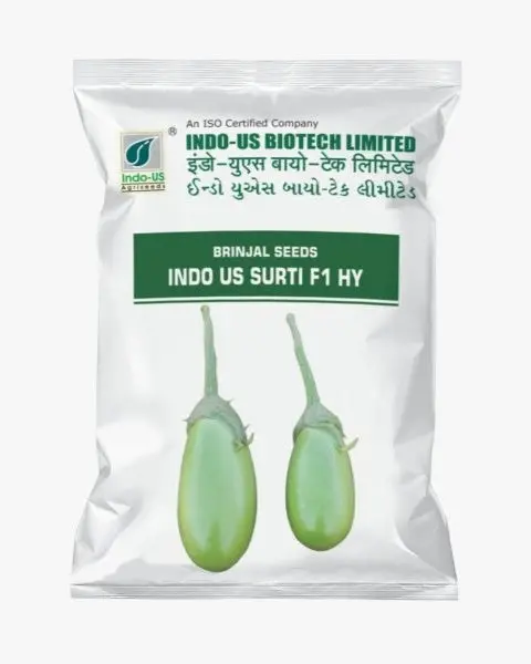 Indo Us Brinjal Surati F1 Hy 1