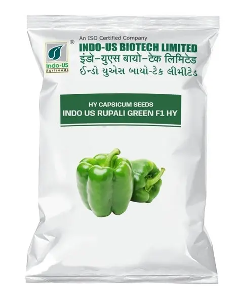 Indo Us Capsicum Rupali Green F1 Hy 1