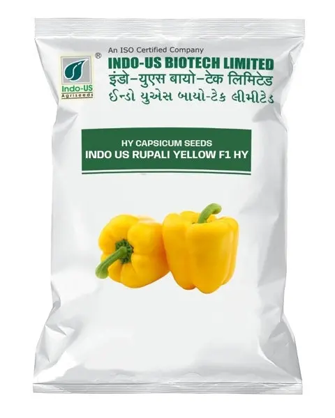 Indo Us Capsicum Rupali Yellow F1 Hy 1