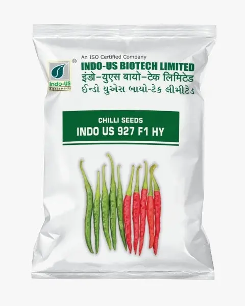 Indo-Us Chilli 927 F1 Hybrid Seeds – High-Yield, Deep Green Fruits 1