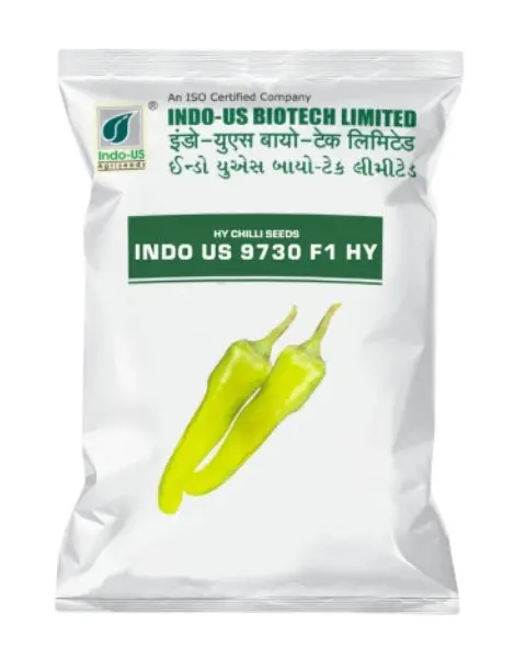 Indo Us Chilli 9730 F1 Hy 1