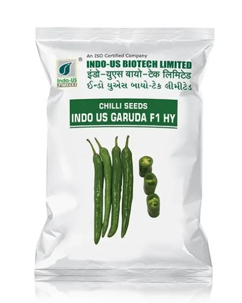 Indo Us Chilli Garuda 1