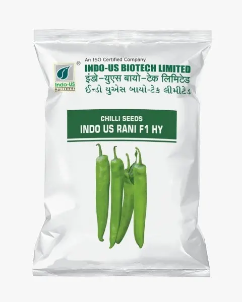 Indo Us Chilli Rani F1 Hy 1