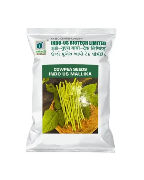 Indo Us Cowpea Mallika 1