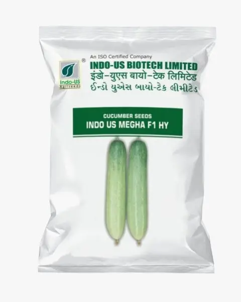 Indo Us Cucumber Megha F1 Hy 1