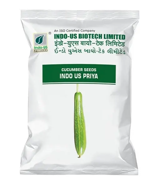 Indo Us Cucumber Priya Op 1