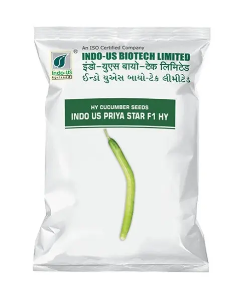 Indo Us Cucumber Priya Star Op 1