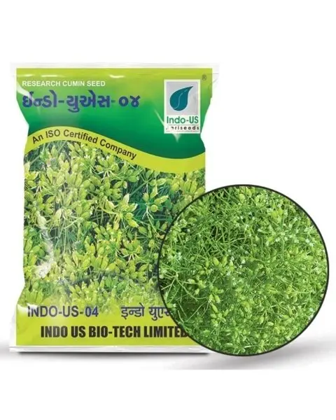 Indo Us Cumin 4 1