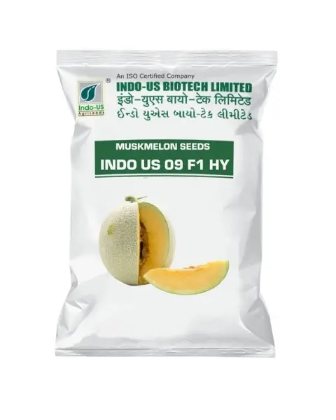 Indo Us Musk Melon 09 F1 Hy 1