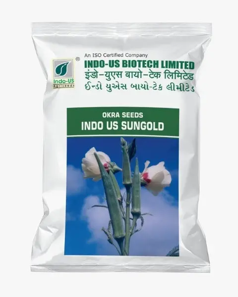 Indo Us Okra Sungold Op 1