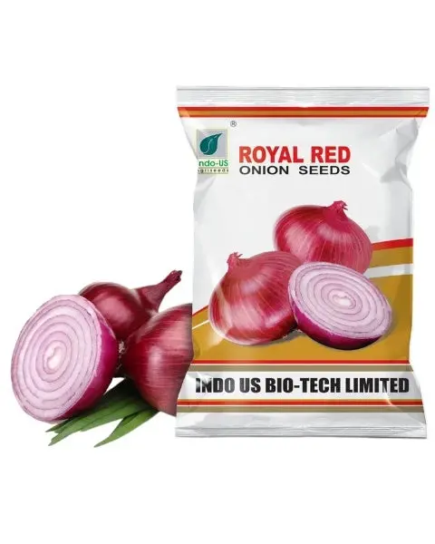 Indo Us Onion Royal Red 1