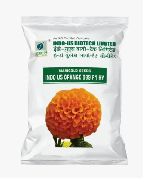 Indo Us Orange 999 F1 Hy Marigold 1