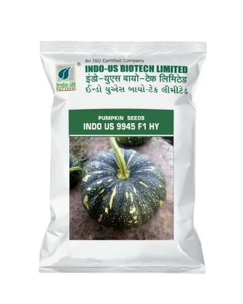 Indo-Us Pumpkin 9945 – Flat Round, Green Pumpkin, 4–5 Kg Fruits 1