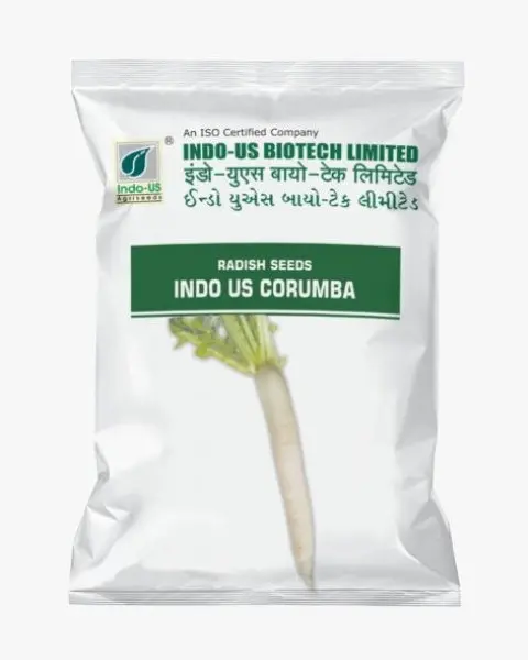 Indo Us Radish Corumba 1