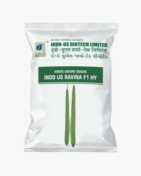 Indo Us Ridge Gourd Ravina F1 Hy 1
