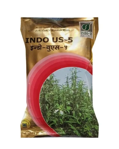 Indo Us Sesamum 05 1