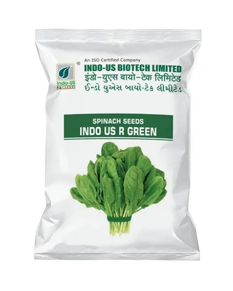 Indo Us Spinach R Green 1